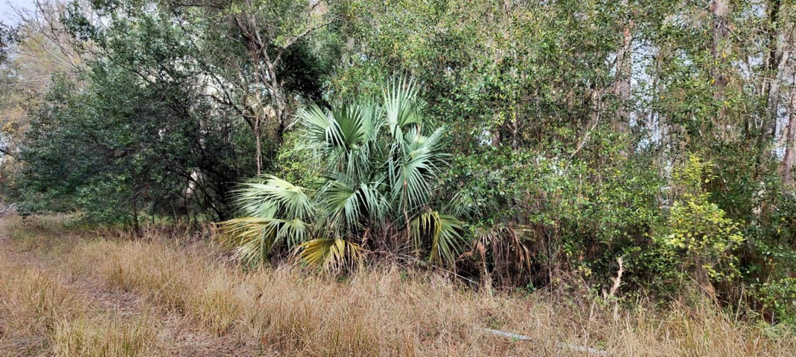 965 S SALLY TER, INVERNESS, FL, 34452