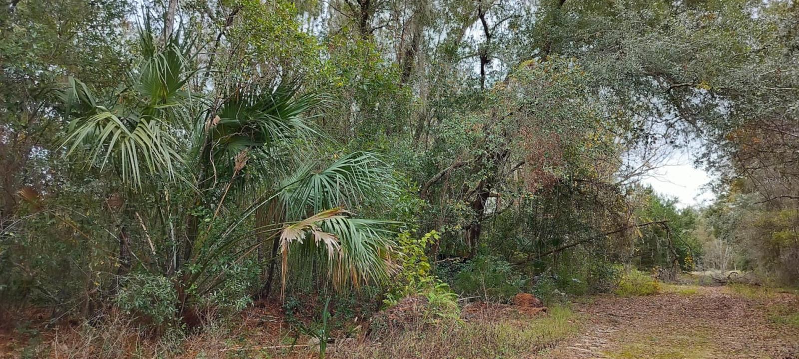 965 S SALLY TER, INVERNESS, FL, 34452