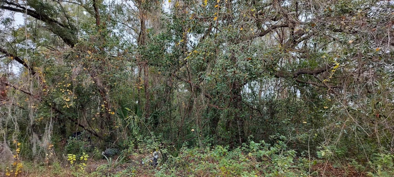 965 S SALLY TER, INVERNESS, FL, 34452