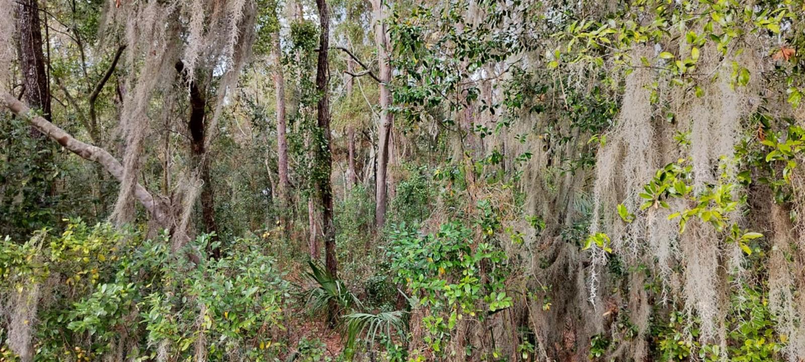 965 S SALLY TER, INVERNESS, FL, 34452