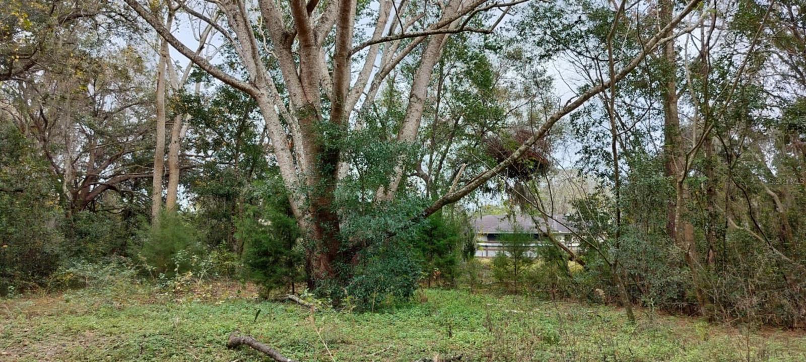 965 S SALLY TER, INVERNESS, FL, 34452