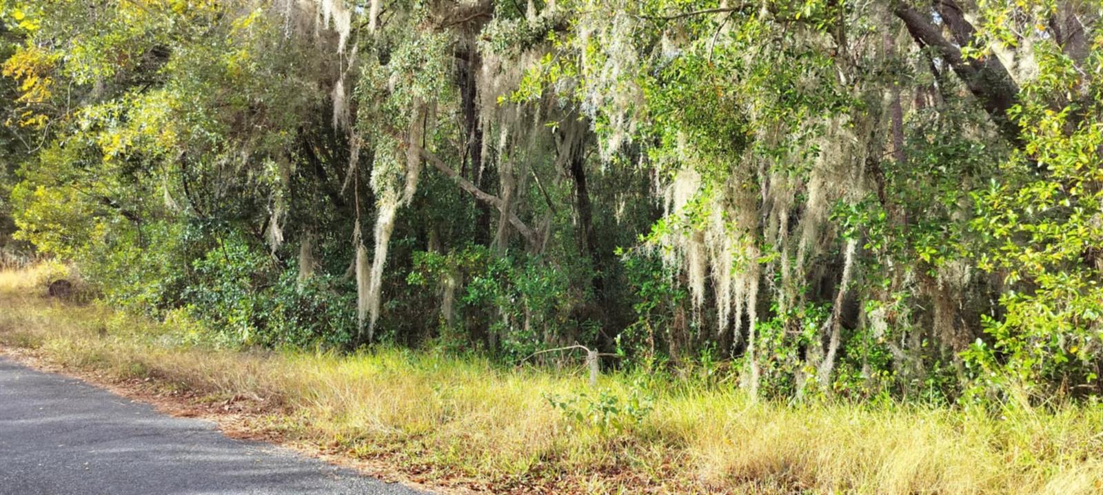 965 S SALLY TER, INVERNESS, FL, 34452