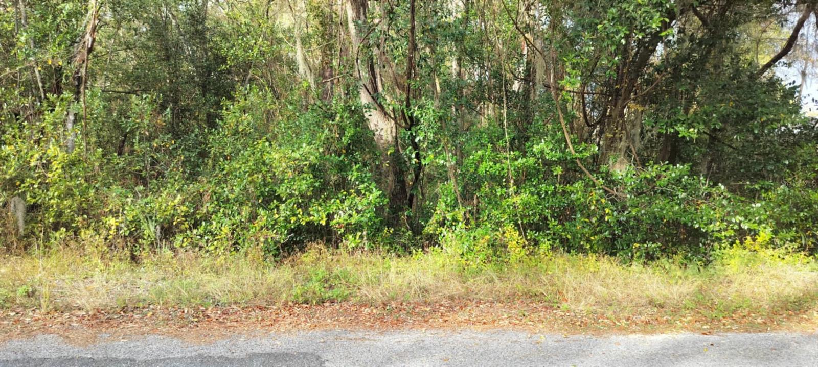 965 S SALLY TER, INVERNESS, FL, 34452