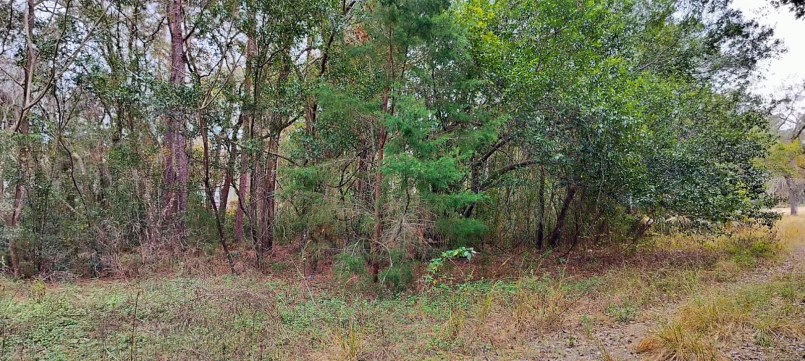 965 S SALLY TER, INVERNESS, FL, 34452