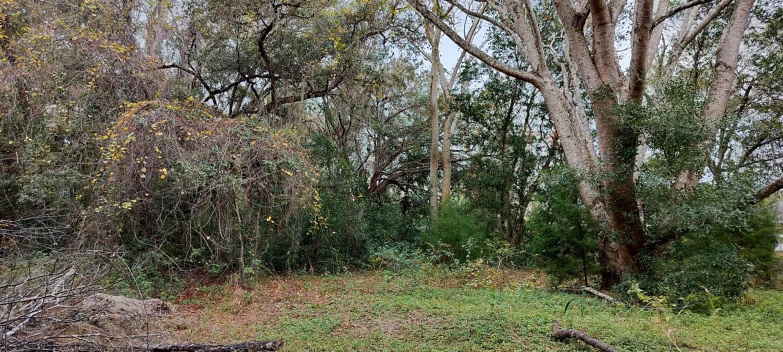 965 S SALLY TER, INVERNESS, FL, 34452