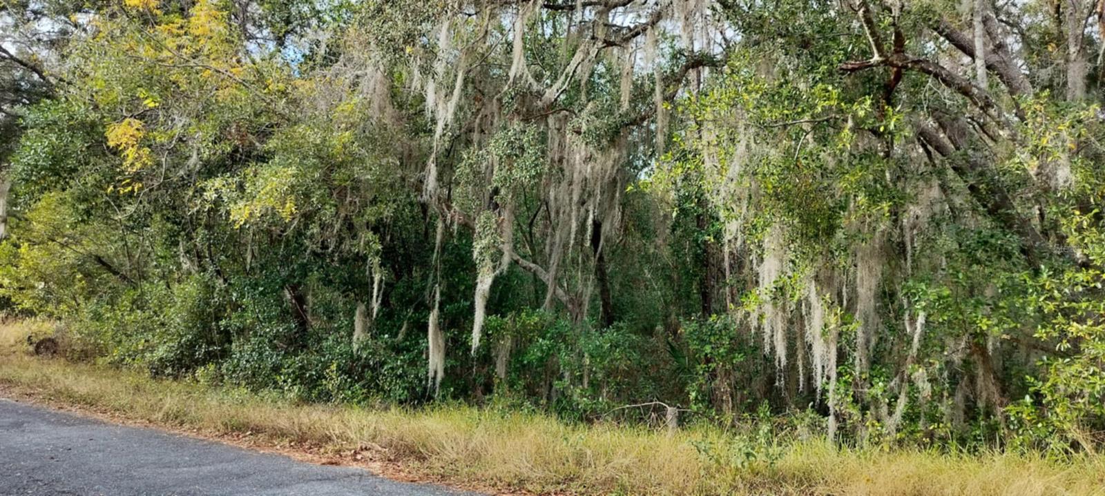 965 S SALLY TER, INVERNESS, FL, 34452