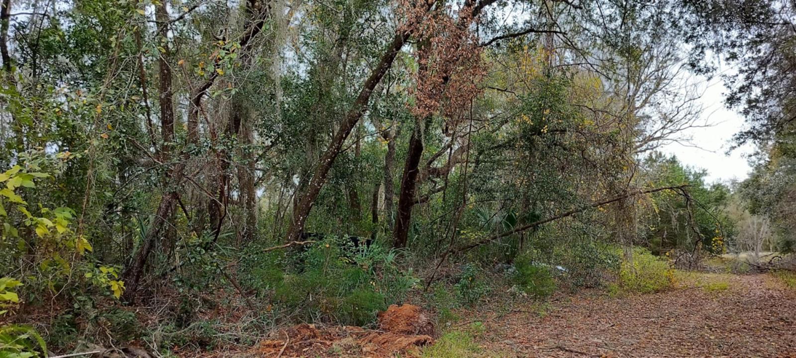 965 S SALLY TER, INVERNESS, FL, 34452