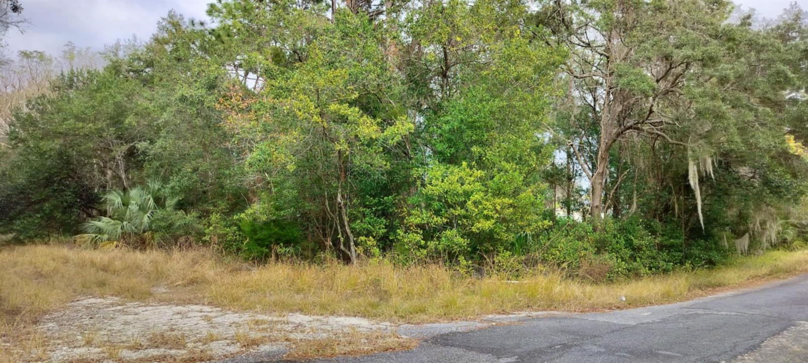 965 S SALLY TER, INVERNESS, FL, 34452