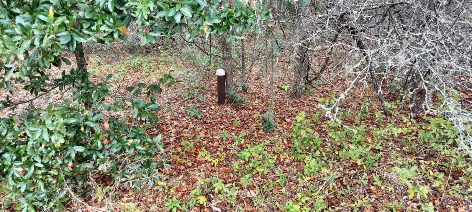 5595 E ARTHUR ST, INVERNESS, FL, 34452