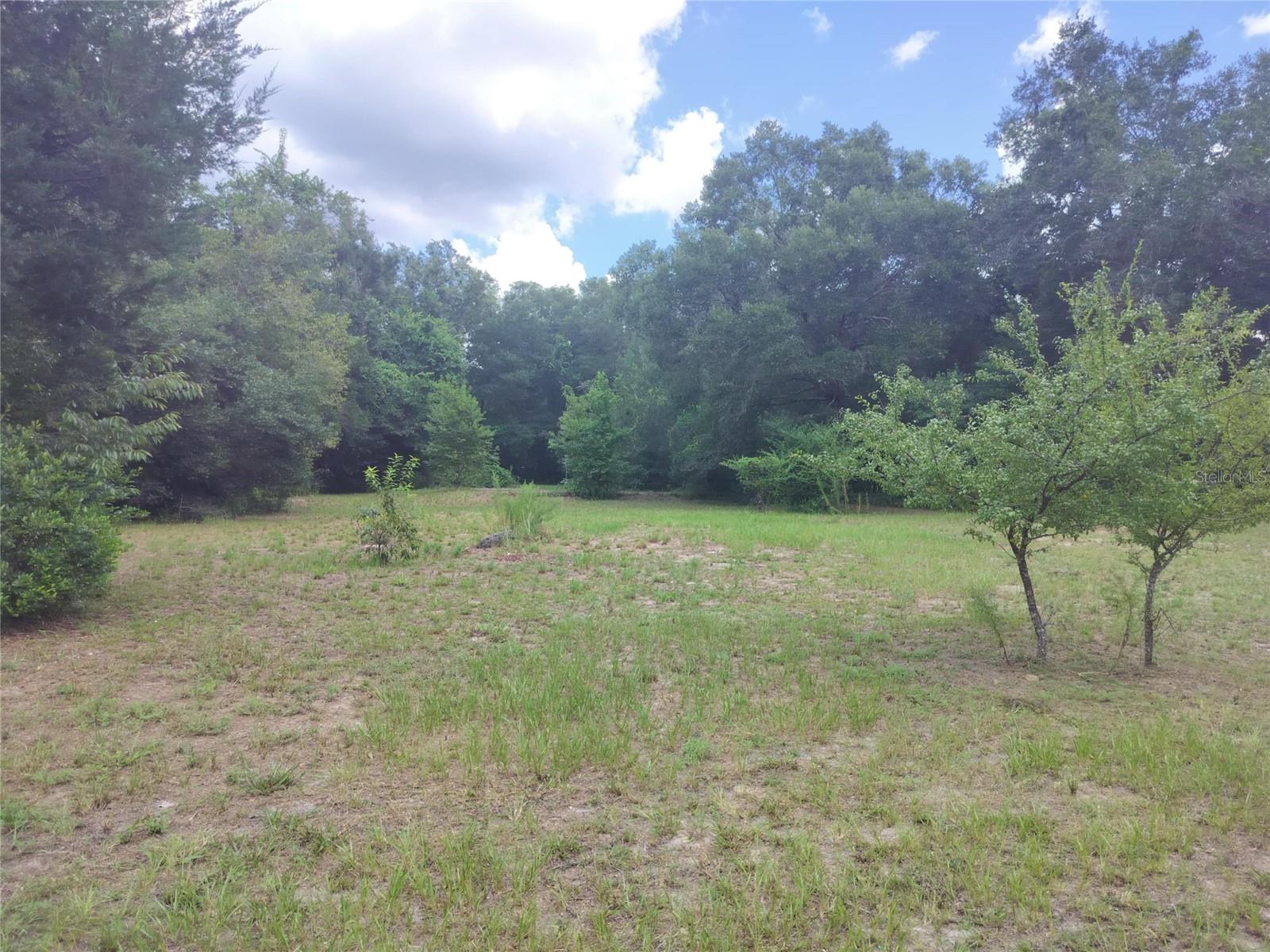 5595 E ARTHUR ST, INVERNESS, FL, 34452