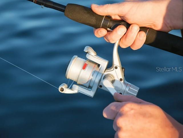 224 PINE ST, HOMOSASSA, FL, 34446