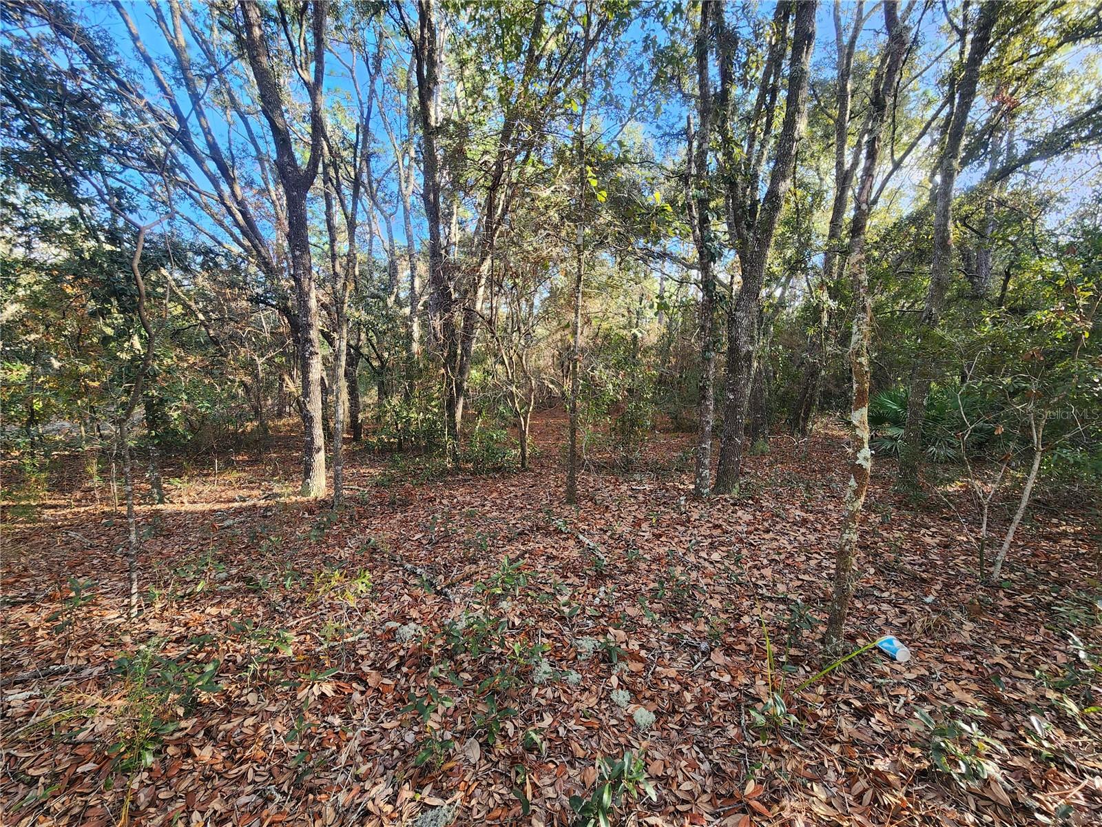 2176 W CONWAY DR, CITRUS SPRINGS, FL, 34434