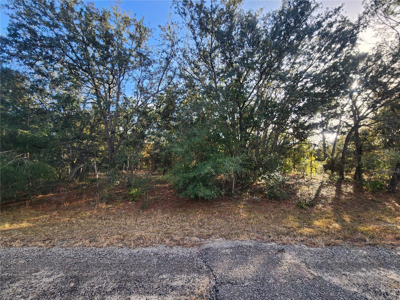 2176 W CONWAY DR, CITRUS SPRINGS, FL, 34434