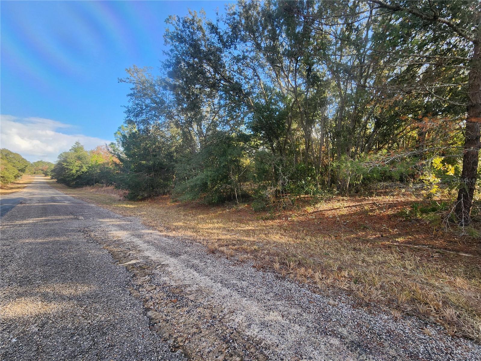2176 W CONWAY DR, CITRUS SPRINGS, FL, 34434