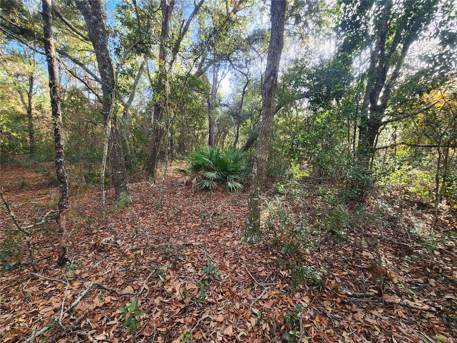 2176 W CONWAY DR, CITRUS SPRINGS, FL, 34434