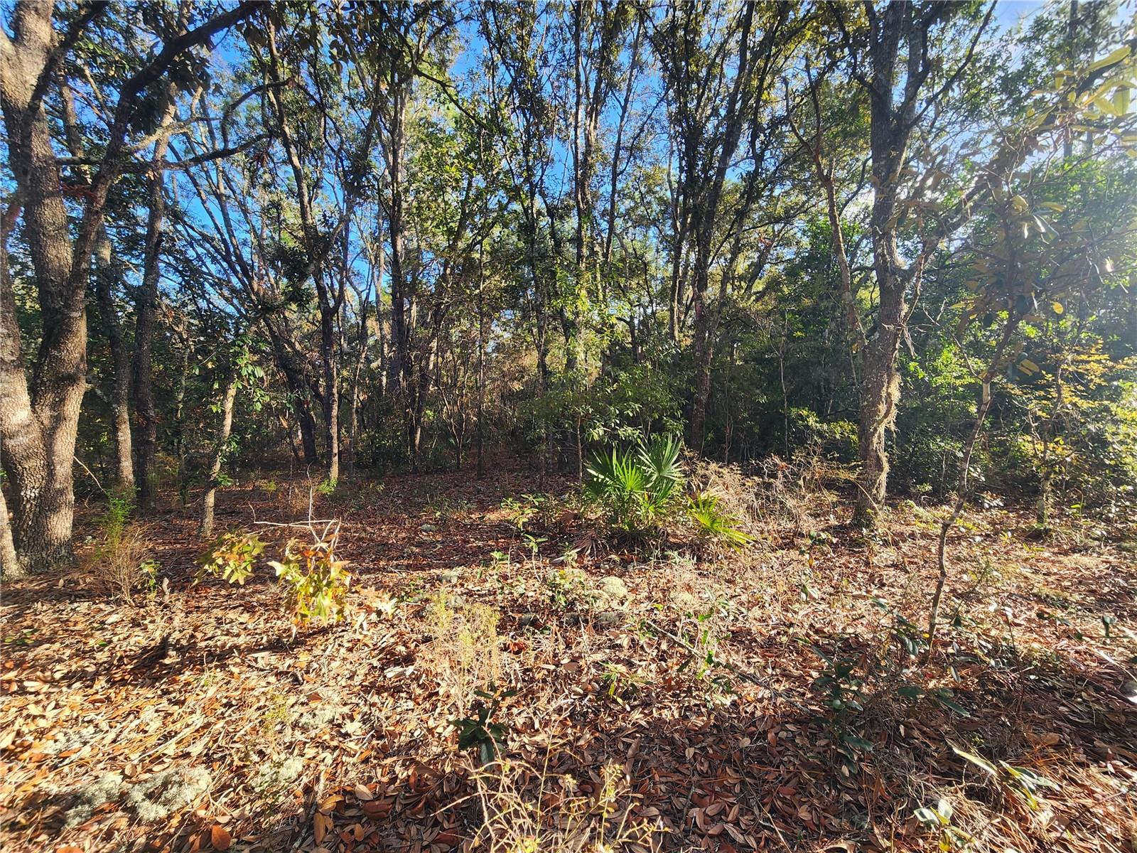 2176 W CONWAY DR, CITRUS SPRINGS, FL, 34434