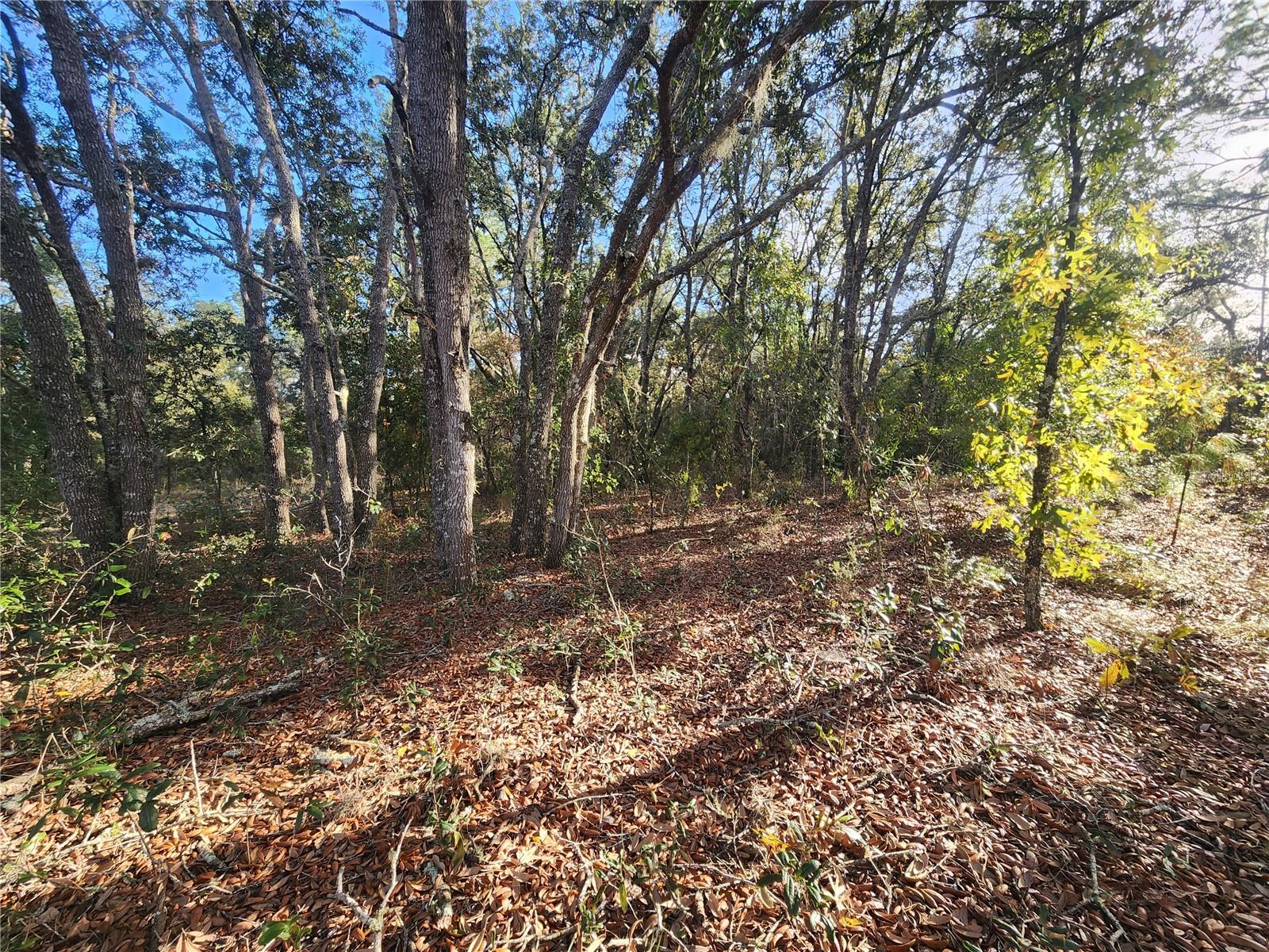 2176 W CONWAY DR, CITRUS SPRINGS, FL, 34434