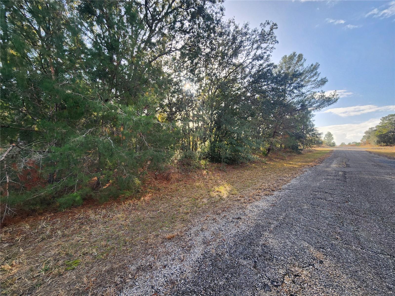 2176 W CONWAY DR, CITRUS SPRINGS, FL, 34434