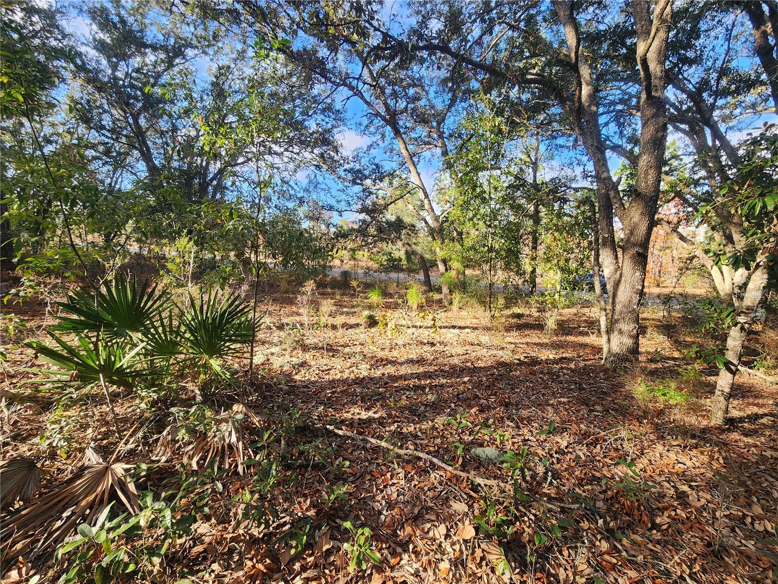 2176 W CONWAY DR, CITRUS SPRINGS, FL, 34434