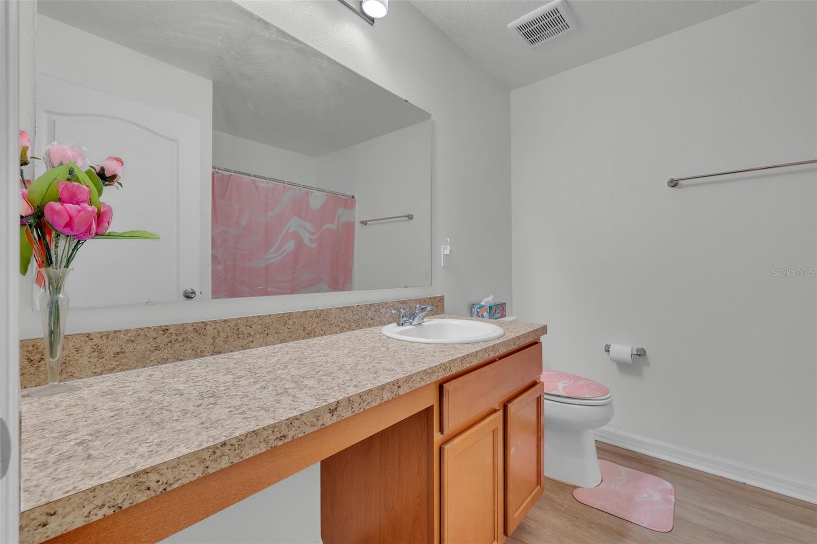 2325 CROSSANDRA ST, MASCOTTE, FL, 34753