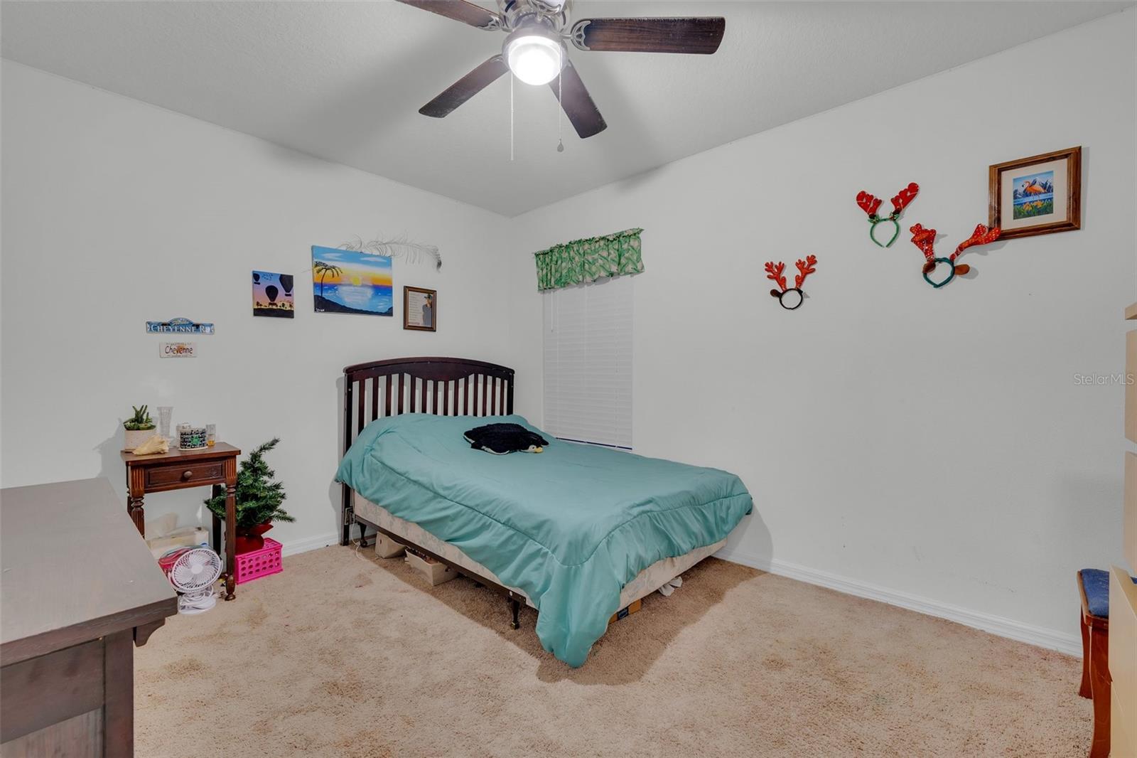 2325 CROSSANDRA ST, MASCOTTE, FL, 34753