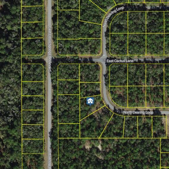 9654 N DEARING LOOP, CITRUS SPRINGS, FL, 34434