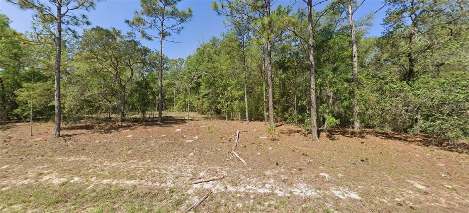 9654 N DEARING LOOP, CITRUS SPRINGS, FL, 34434