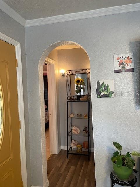1310 E CAYUGA ST, TAMPA, FL, 33603