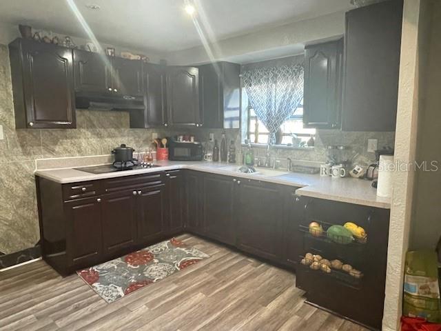 1310 E CAYUGA ST, TAMPA, FL, 33603