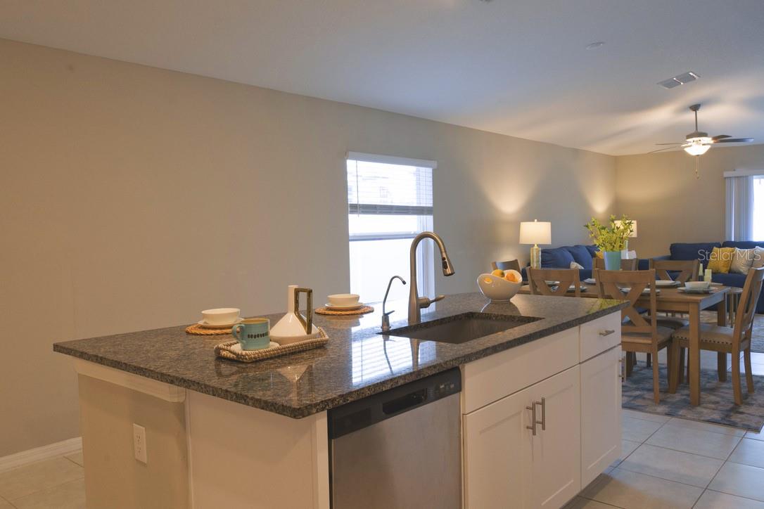 10383 BLUE PLUME CT, RIVERVIEW, FL, 33578