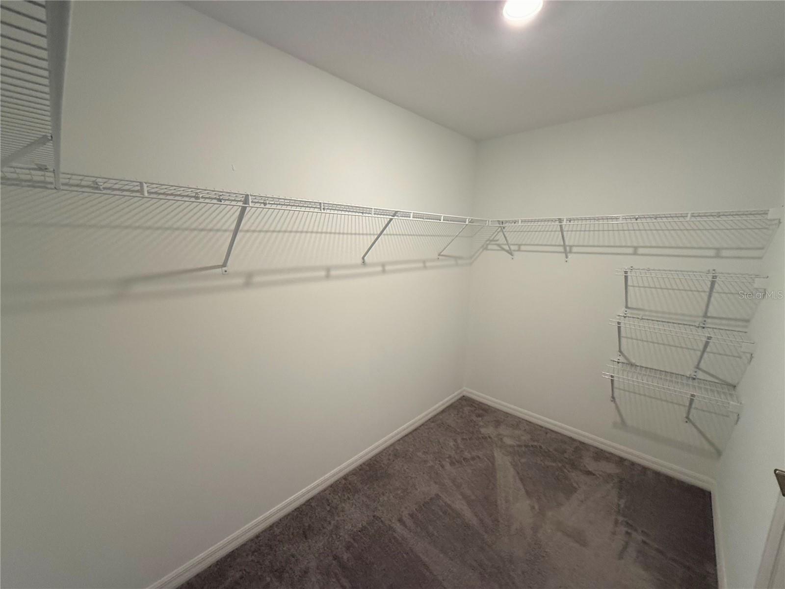 10383 BLUE PLUME CT, RIVERVIEW, FL, 33578