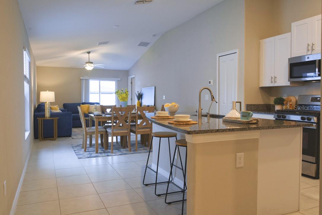 10383 BLUE PLUME CT, RIVERVIEW, FL, 33578