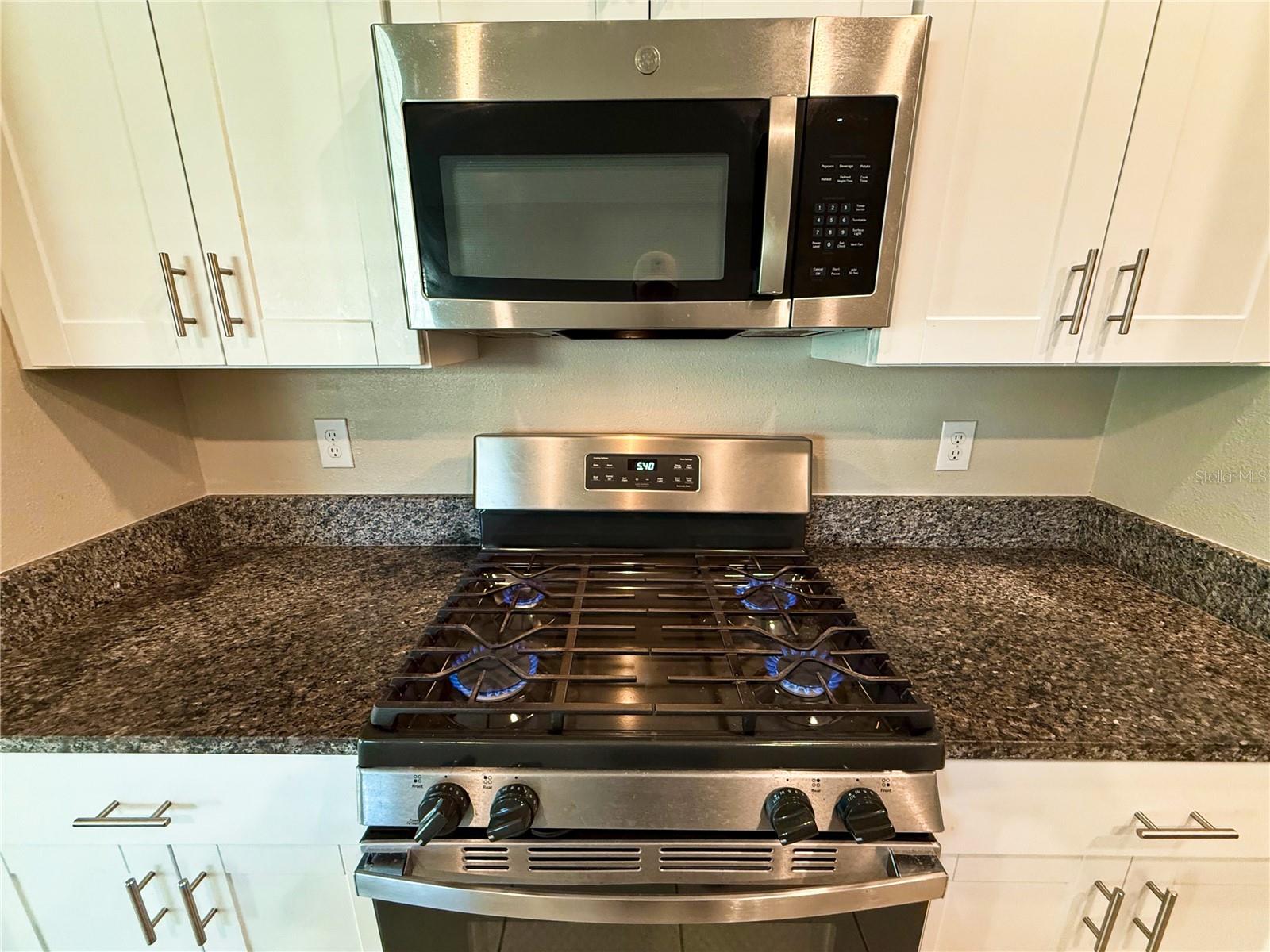 10383 BLUE PLUME CT, RIVERVIEW, FL, 33578