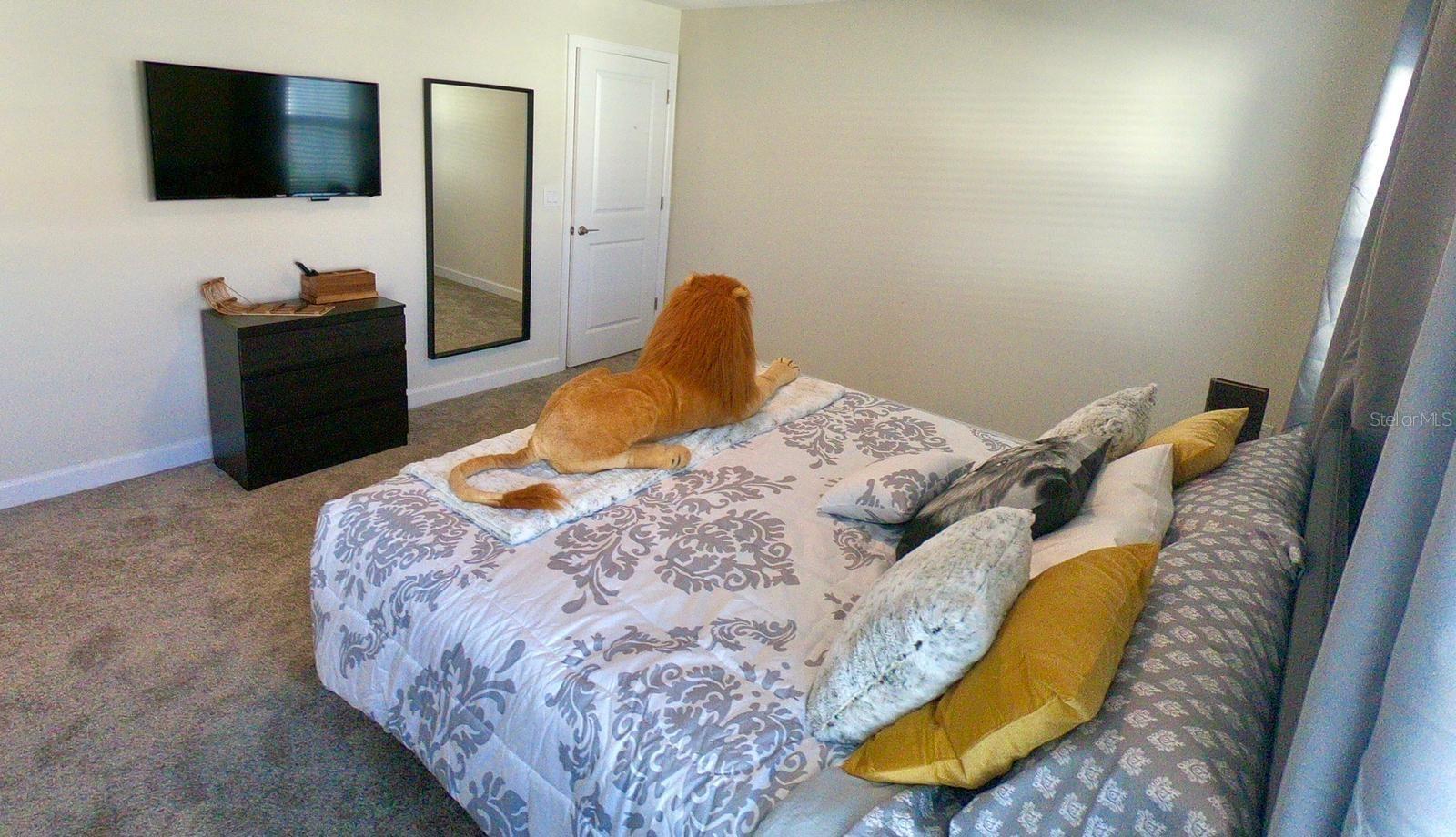 4828 LOVE STOREY LN, KISSIMMEE, FL, 34746