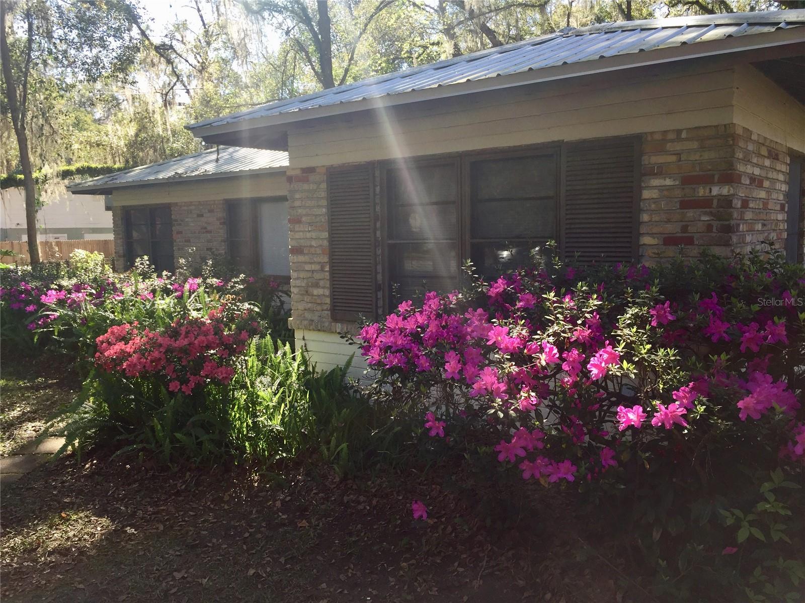 2703 NW 2ND AVE, GAINESVILLE, FL, 32607