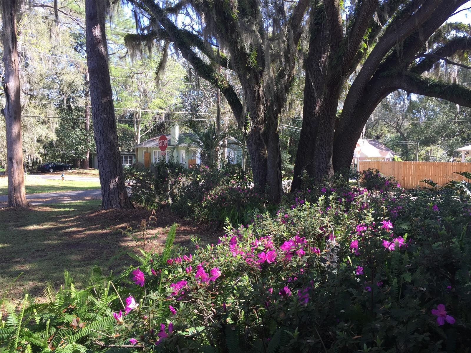 2703 NW 2ND AVE, GAINESVILLE, FL, 32607