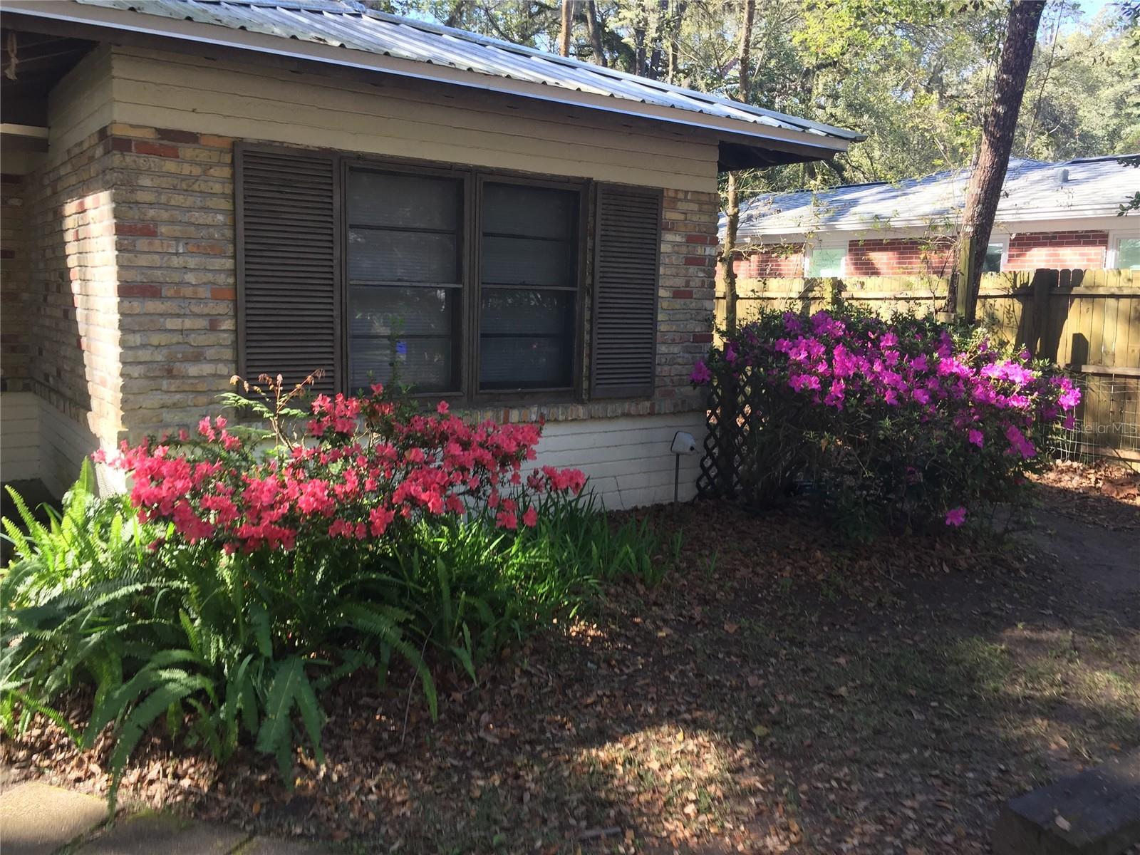 2703 NW 2ND AVE, GAINESVILLE, FL, 32607