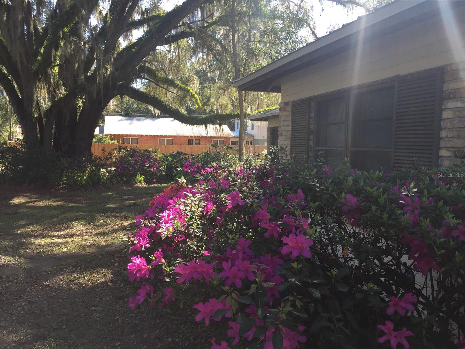 2703 NW 2ND AVE, GAINESVILLE, FL, 32607