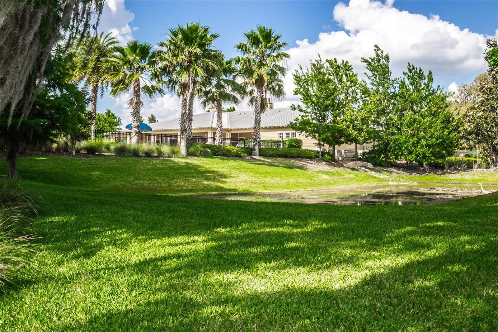 11645 BELLE HAVEN DR, NEW PORT RICHEY, FL, 34654