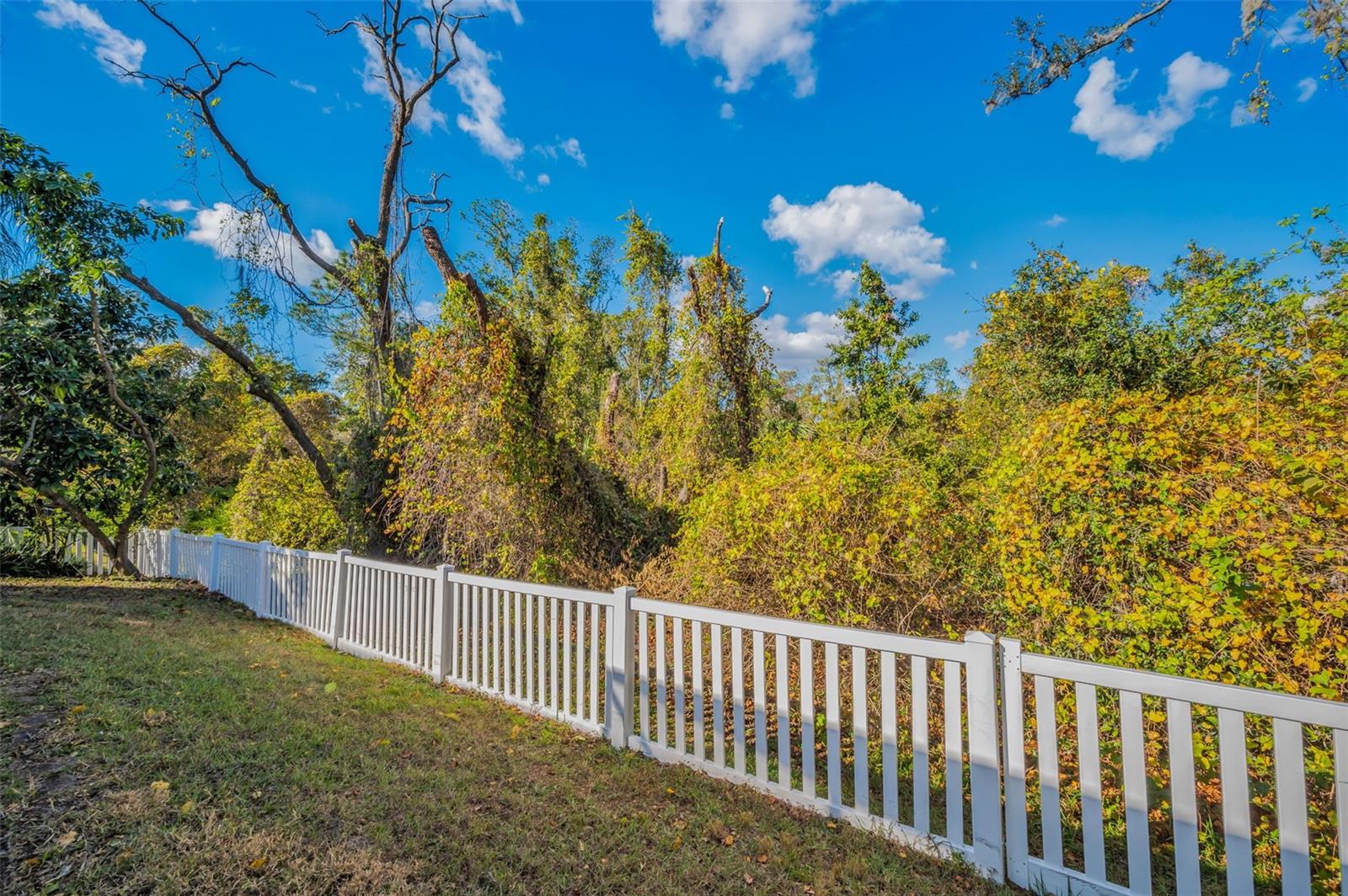 11645 BELLE HAVEN DR, NEW PORT RICHEY, FL, 34654