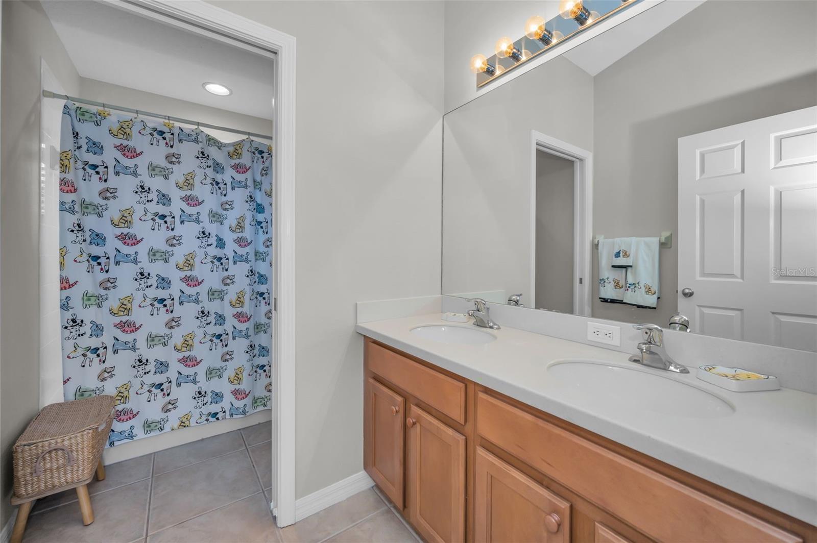11645 BELLE HAVEN DR, NEW PORT RICHEY, FL, 34654