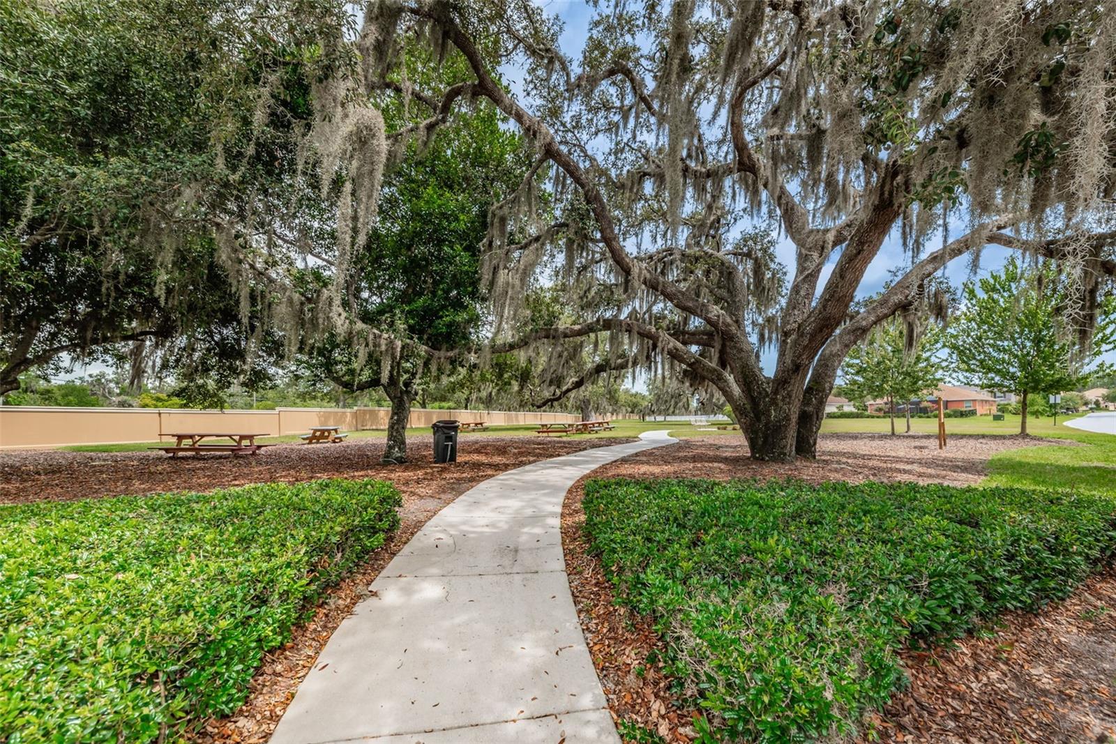 11645 BELLE HAVEN DR, NEW PORT RICHEY, FL, 34654