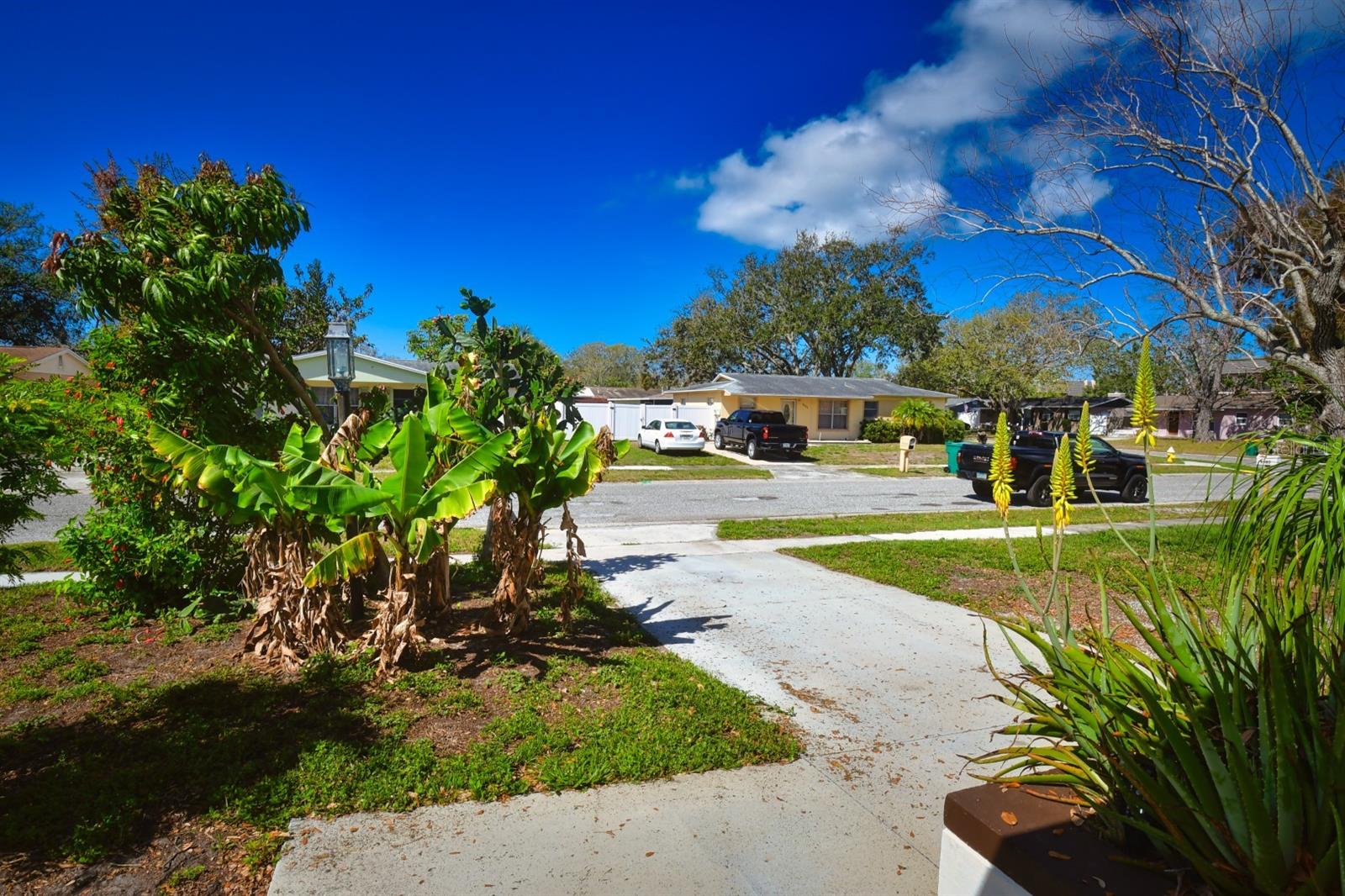 9567 85TH ST, SEMINOLE, FL, 33777