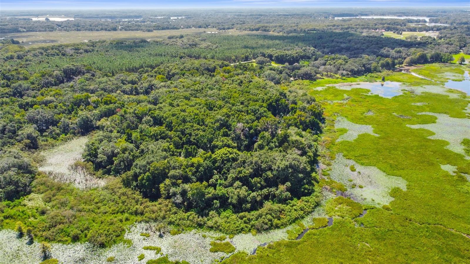6111 E TURNER CAMP RD, INVERNESS, FL, 34453