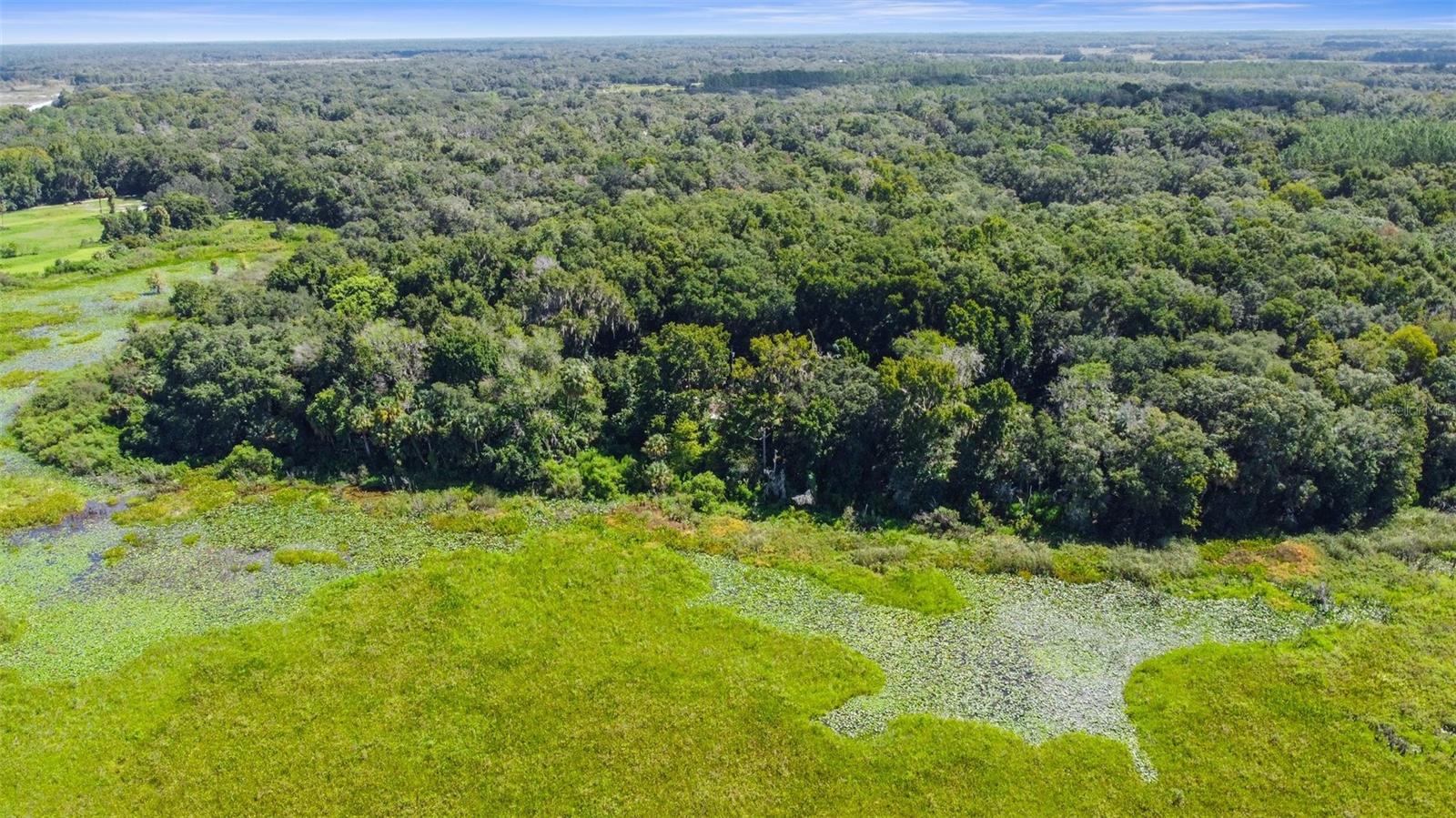 6111 E TURNER CAMP RD, INVERNESS, FL, 34453