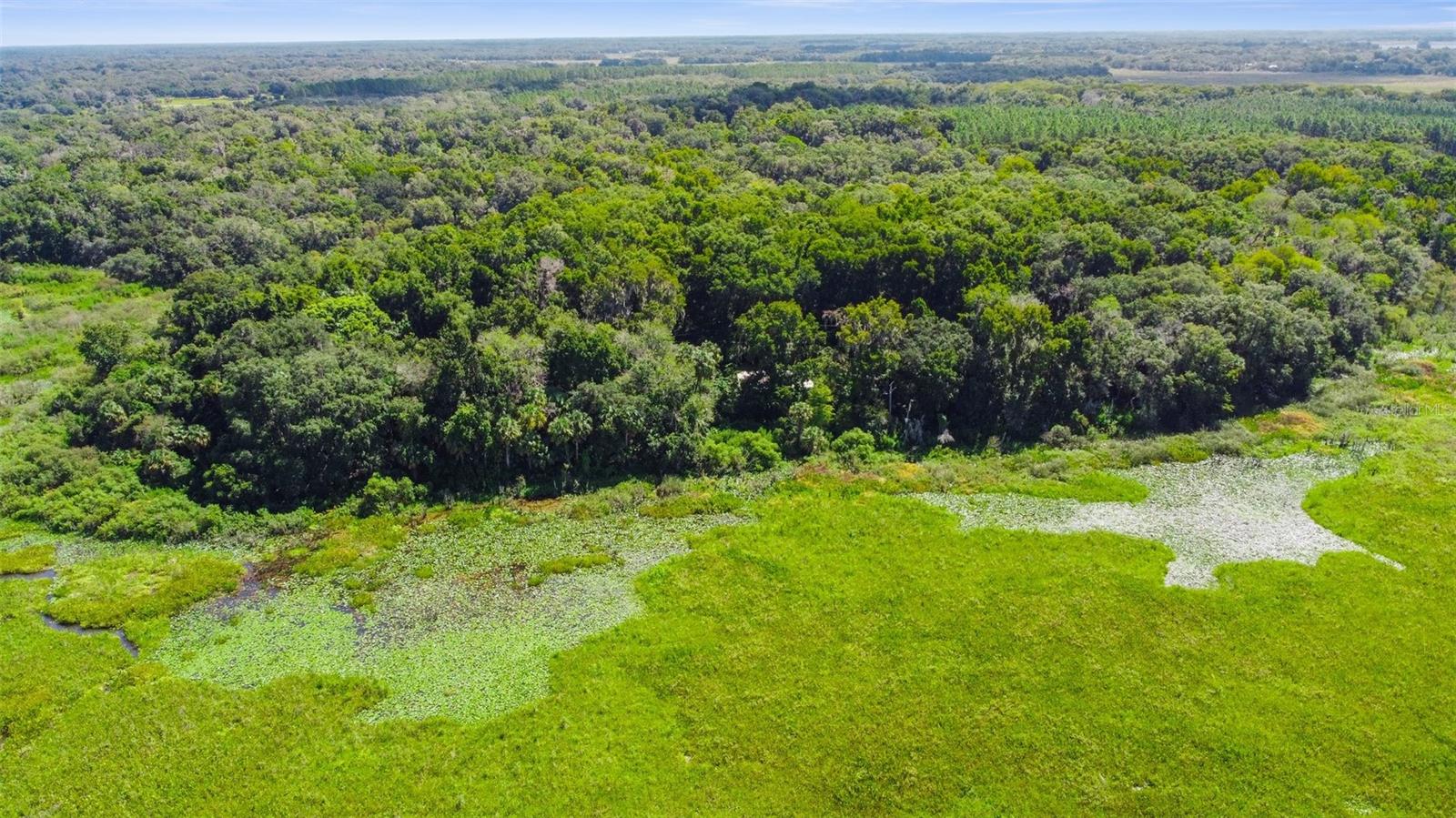 6111 E TURNER CAMP RD, INVERNESS, FL, 34453