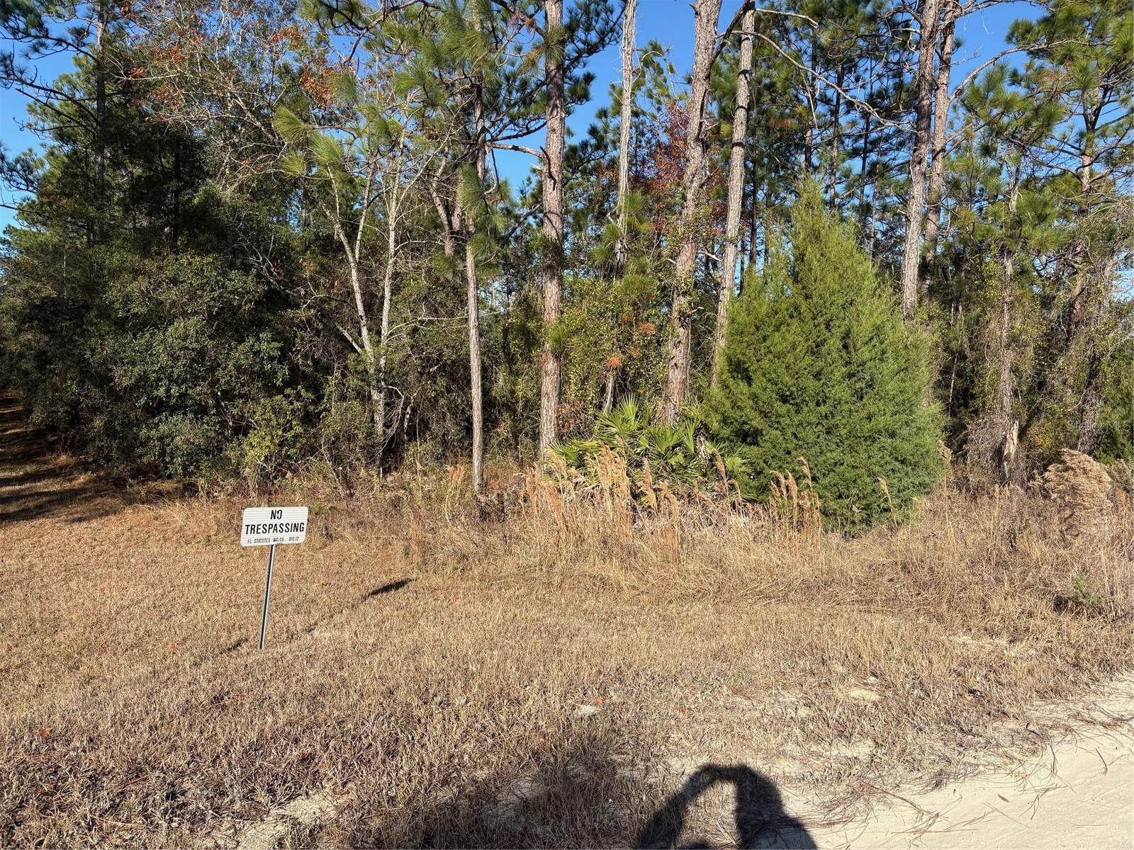 0 SW 165 AVENUE RD, OCALA, FL, 34481