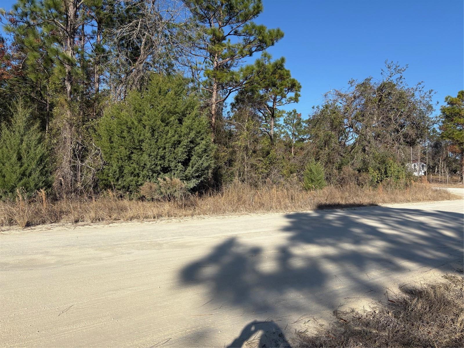 0 SW 165 AVENUE RD, OCALA, FL, 34481