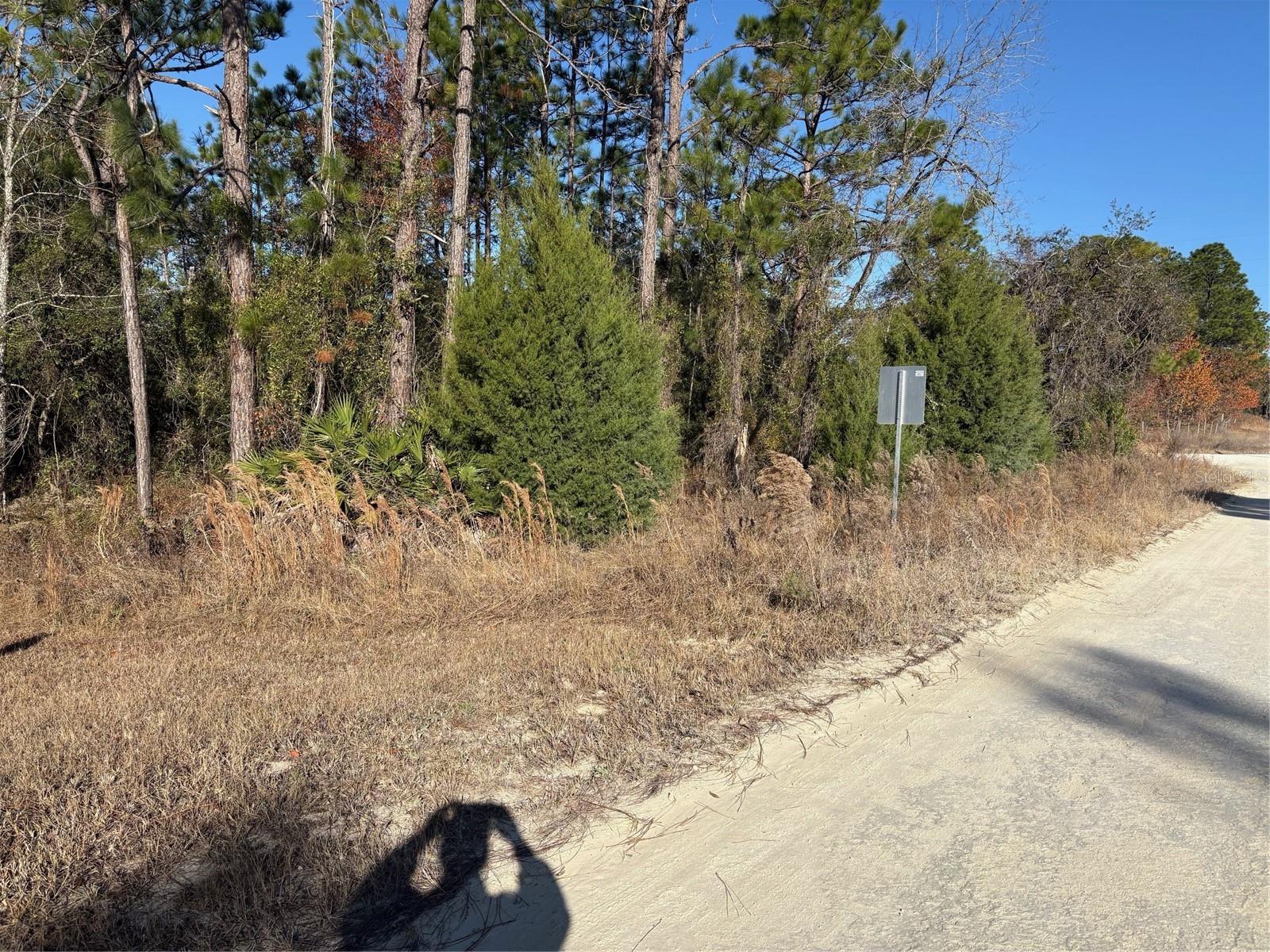 0 SW 165 AVENUE RD, OCALA, FL, 34481