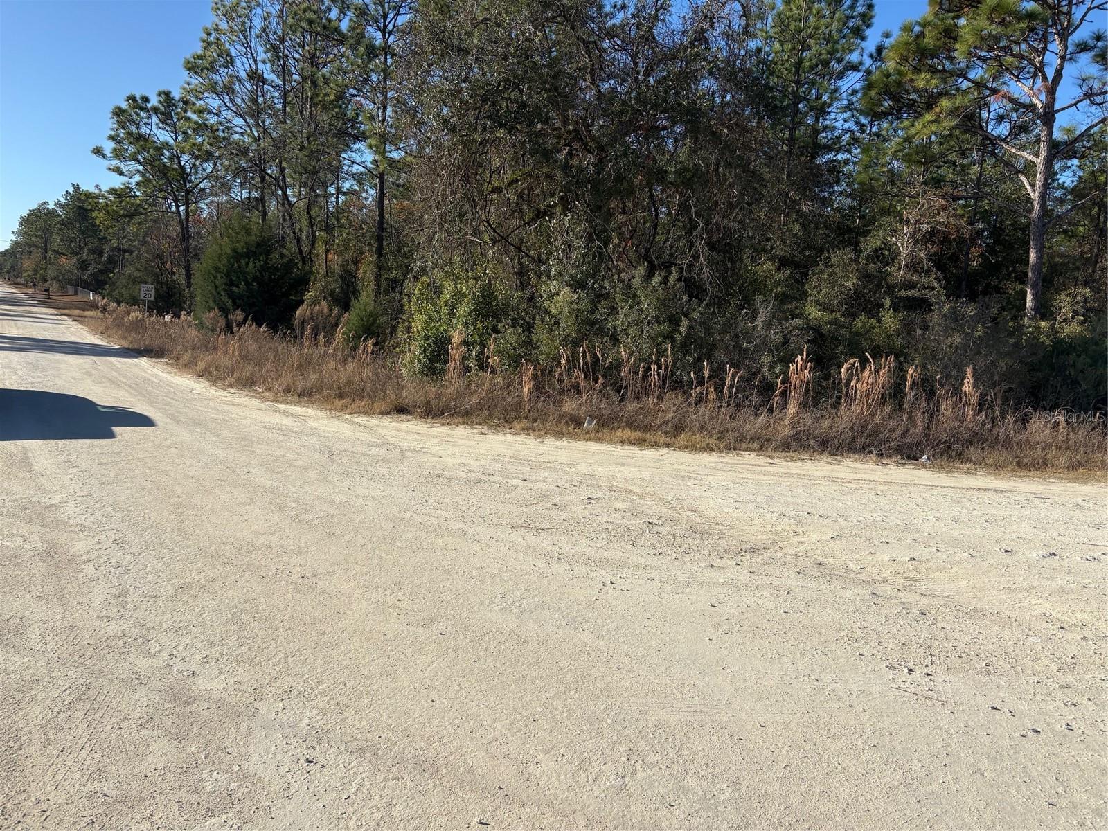 0 SW 165 AVENUE RD, OCALA, FL, 34481